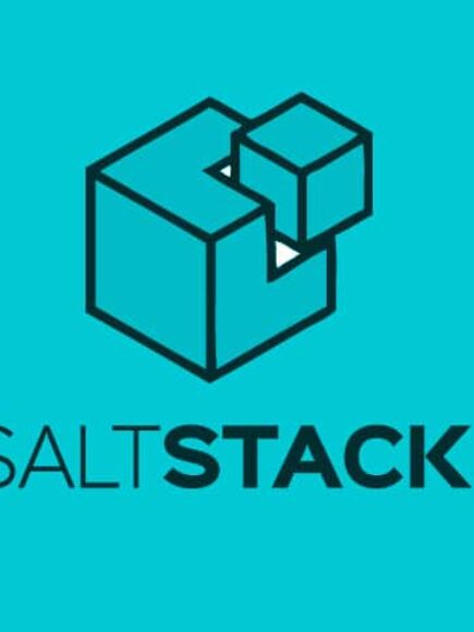 SALT-Stack Developer