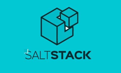 SALT-Stack Developer